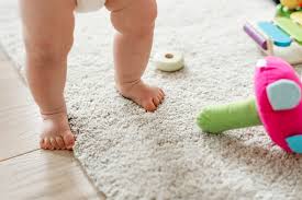 eco friendly carpet cleaning servis group