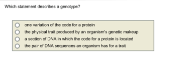 which statement describes an allele