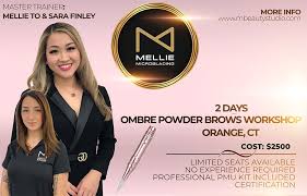 ombre powder brows training cles ct