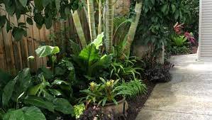 Tropical Oasis Using Clever Landscape