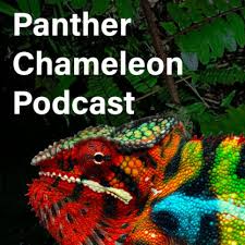 panther chameleon care chameleon academy