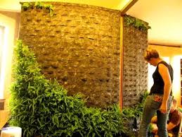 Green Wall Vertical Garden