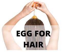 benefits of egg for hair the urban life