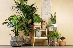 6 ways to use artificial plants in your