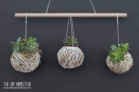 How To Make A Hanging Succulent Garden