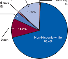 percent distribution of race and