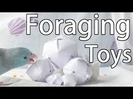 3 quick and easy foraging toys diy