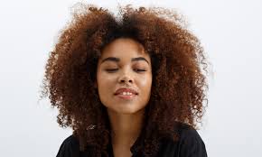 natural remes for dry damaged hair