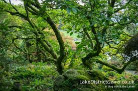 Moss Lake District