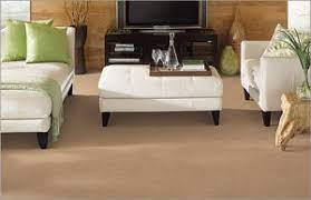 soft durable carpet hopkins carpet