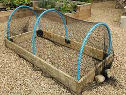 Crop Protection Tunnels For Raised Beds