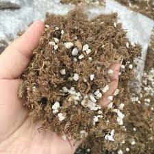 orchid plant potting soil mix peat moss