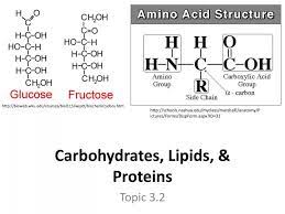 ppt carbohydrates lipids