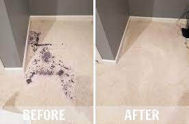 carpet cleaning before after photo