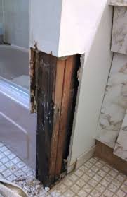 Bathroom Mold Removal