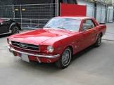Mustang-Mustang