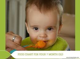 7 month baby food chart daily meal