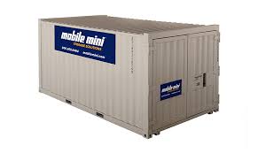 extra wide portable storage containers