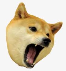 Search the imgflip meme database for popular memes and blank meme templates. Shibenation Doge Meme Freetoedit Angry Doge Meme Png Image Transparent Png Free Download On Seekpng