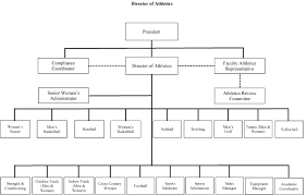 Aamu Organizational Chart