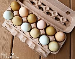Egg tapping has origins in medieval times, where it was practiced during the easter festival in poland. 7 Tips To Help You Sell Your Farm Fresh Eggs For More Money Fresh Eggs Daily