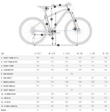 Orbea Bike Size Chart