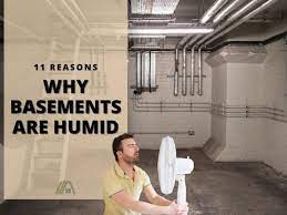 11 Reasons Why Basements Are Humid