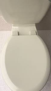 Indian Ivory Toilet Seat Nationwide