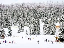 Partia de Ski Stana de Vale – Bihor | Obiective Turistice - Harta Romaniei