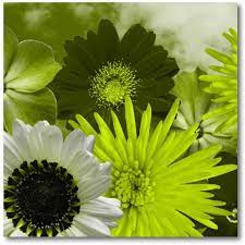 Lime Green Flowers On Canvas Modern