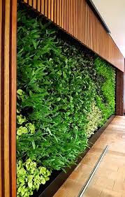 Green Wall Hire Vertical Garden Hire