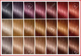 Rusk Hair Color Chart Lajoshrich Com