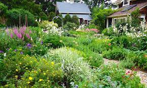 Designing The Perfect Cottage Garden