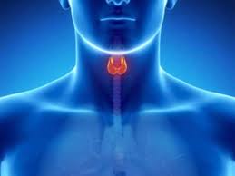 Hypothyroidism (Underactive Thyroid ) - Symptoms, Causes, Complications