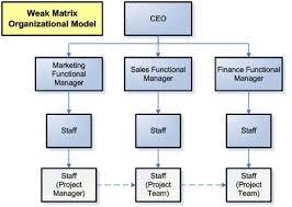 Advantages Of Different Org Structures On Marketing Project