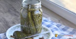 dill pickle recipe finally i m