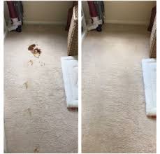 carpet cleaning in medway gillingham