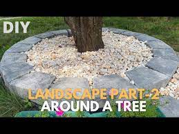 Landscaping Around A Tree