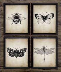 Insect Wall Art Set Of 4 Printable