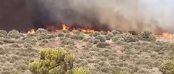 Τεράστια μάχη δίνεται να μην περάσει η φωτιά στον εθνικό δρυμό σουνίου, όπου είναι το δεύτερο μεγάλο μέτωπο. Ay Qwkfyftryam
