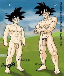 son goku, dragon ball, dragonball z, age difference, flaccid, muscular, nude,  penis - Image View - | Gelbooru - Free Anime and Hentai Gallery