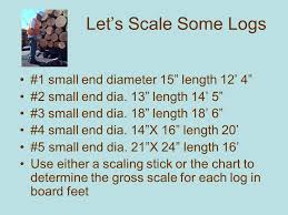 How Much Lumber Is On This Log Deck Ppt Download