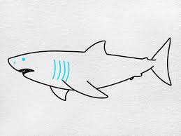 easy shark drawing oartsy