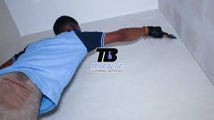 trueblue cleaning services we clean