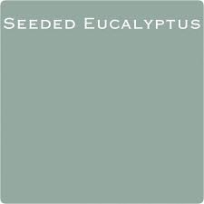 Seeded Eucalyptus Pastel Blue Green