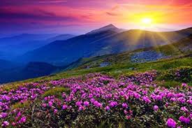 Image result for images of beautiful nature