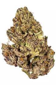 Pure Tonic Cannabis Dispensary gambar png