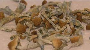 Micro-dosing magic mushrooms | A growing trend among San Diego moms |  cbs8.com