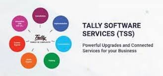 tally software services silver