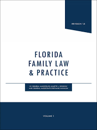 florida family law practice